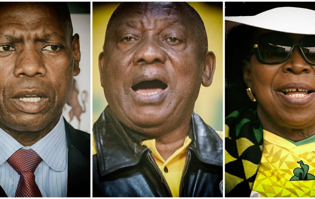 ANALYSIS: Everybody wants to rule the world: Zweli Mkhize’s ‘the more, the merrier’ belies the future ANC reality