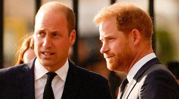 Prince William pulls up â€˜drawbridge’ on Harry amid rift